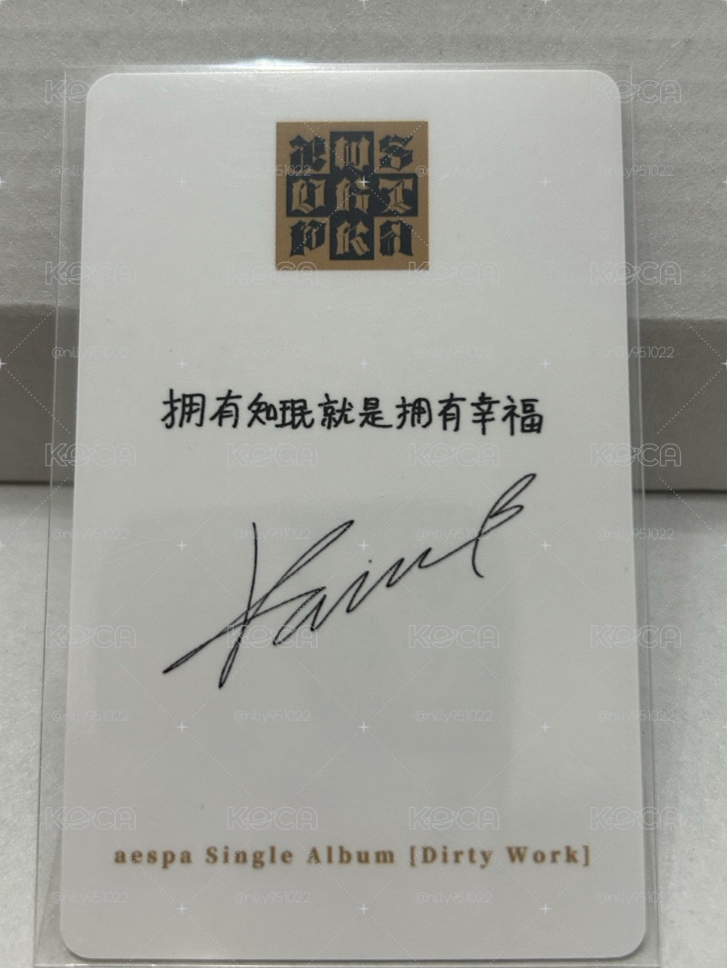 ppmq預售中背柚