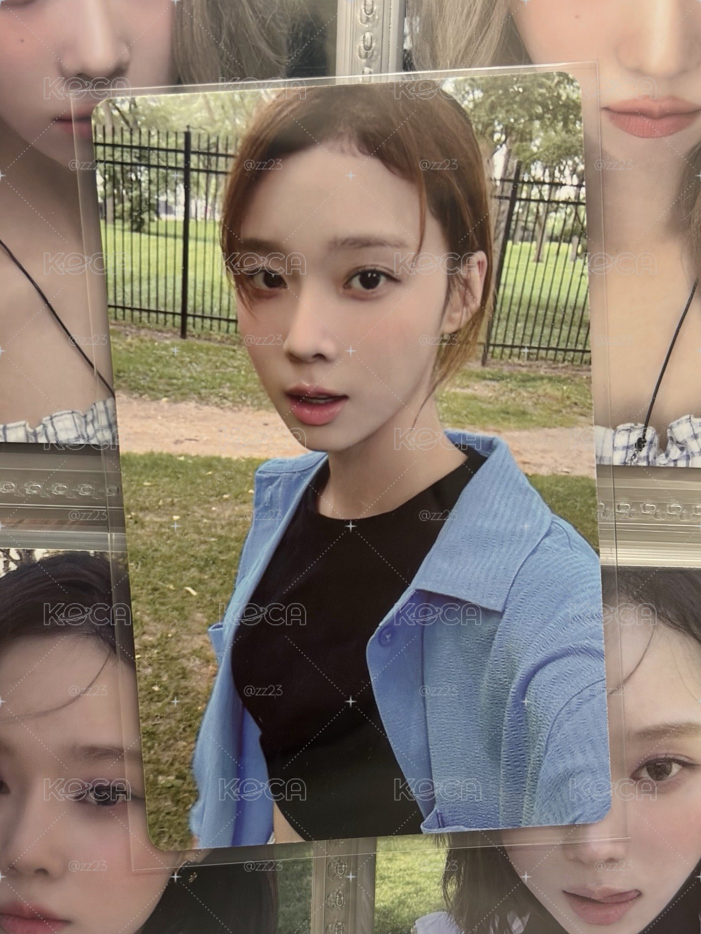 回憶錄草地冬