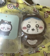馬來小八