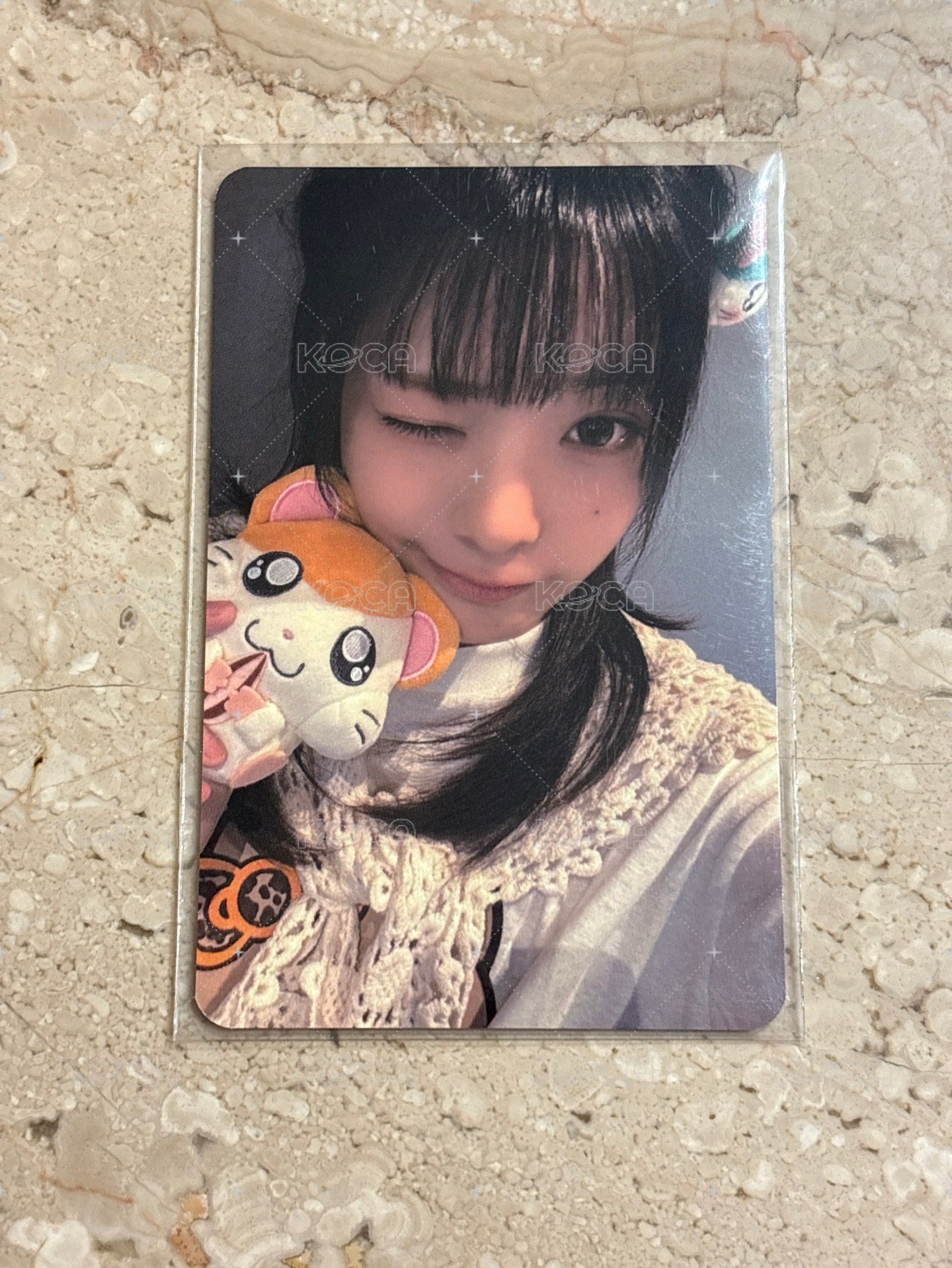 哈姆太郎