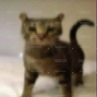 冬冬一些漂亮紙片