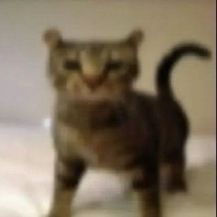 冬冬一些漂亮紙片