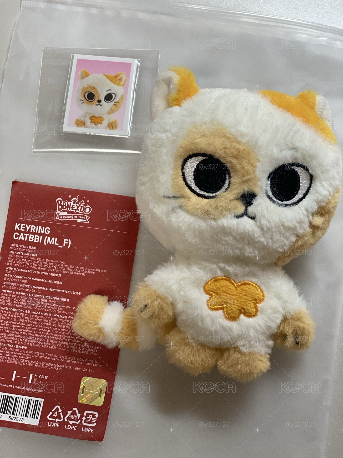 二代貓比