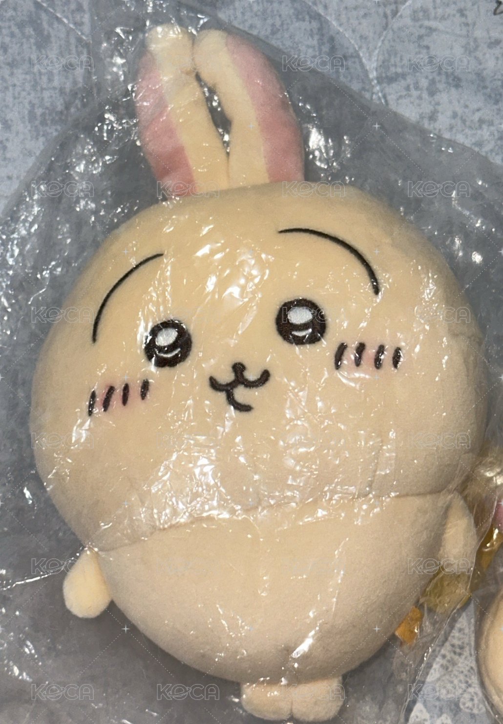 烏薩奇s娃