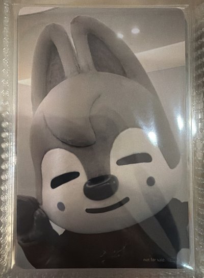 燦 專輯卡