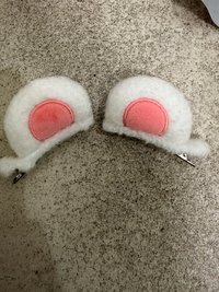 辰 髮夾（沒有原廠袋，但完全沒用過）