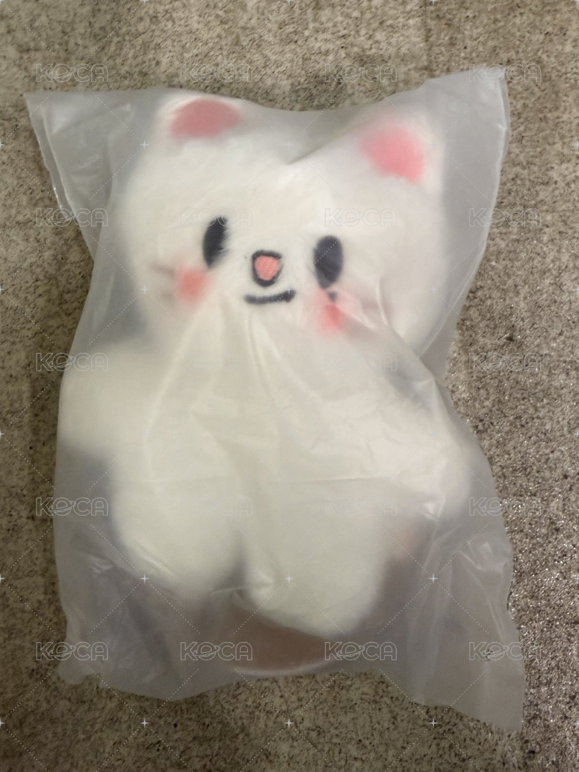 辰 站娃