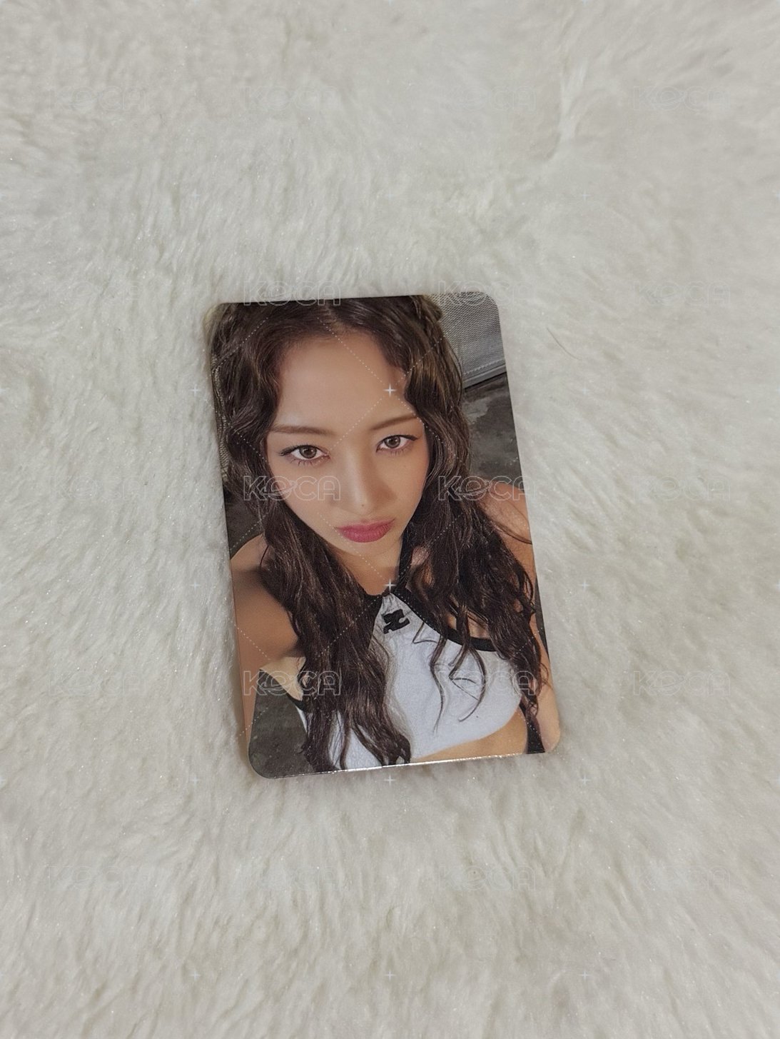 solo迷一專卡 Z