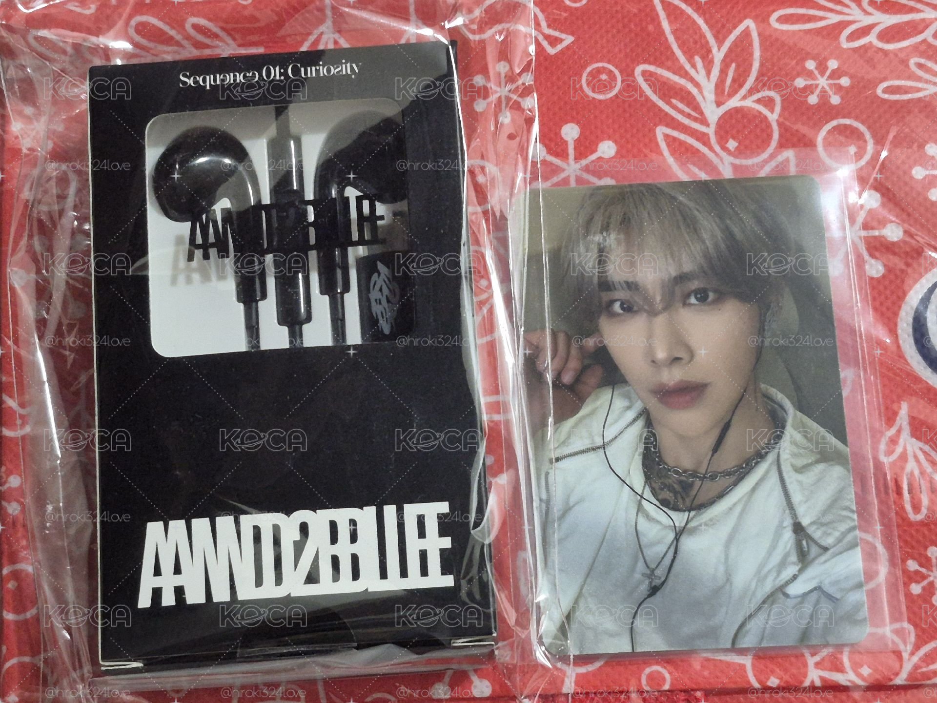 〈未使用〉EARPHONE PARTS SET〈AND2BLE〉RICKY