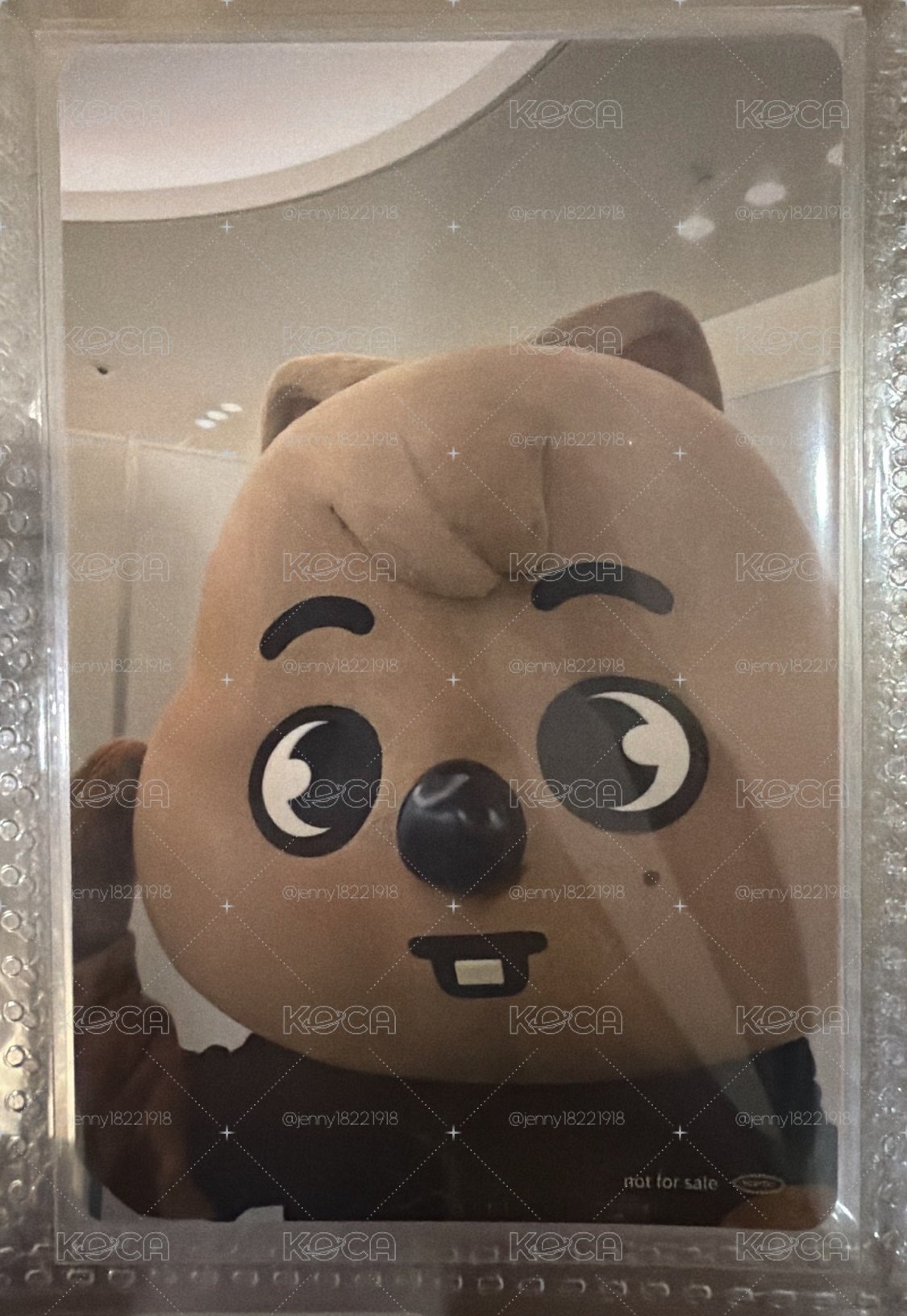 韓 專輯卡