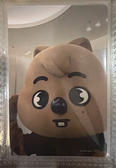 韓 專輯卡