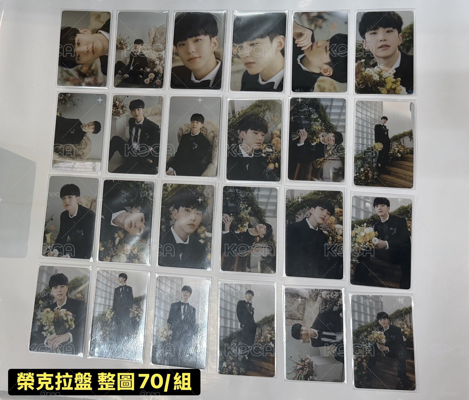 Hoshi mini10 克拉盤小卡