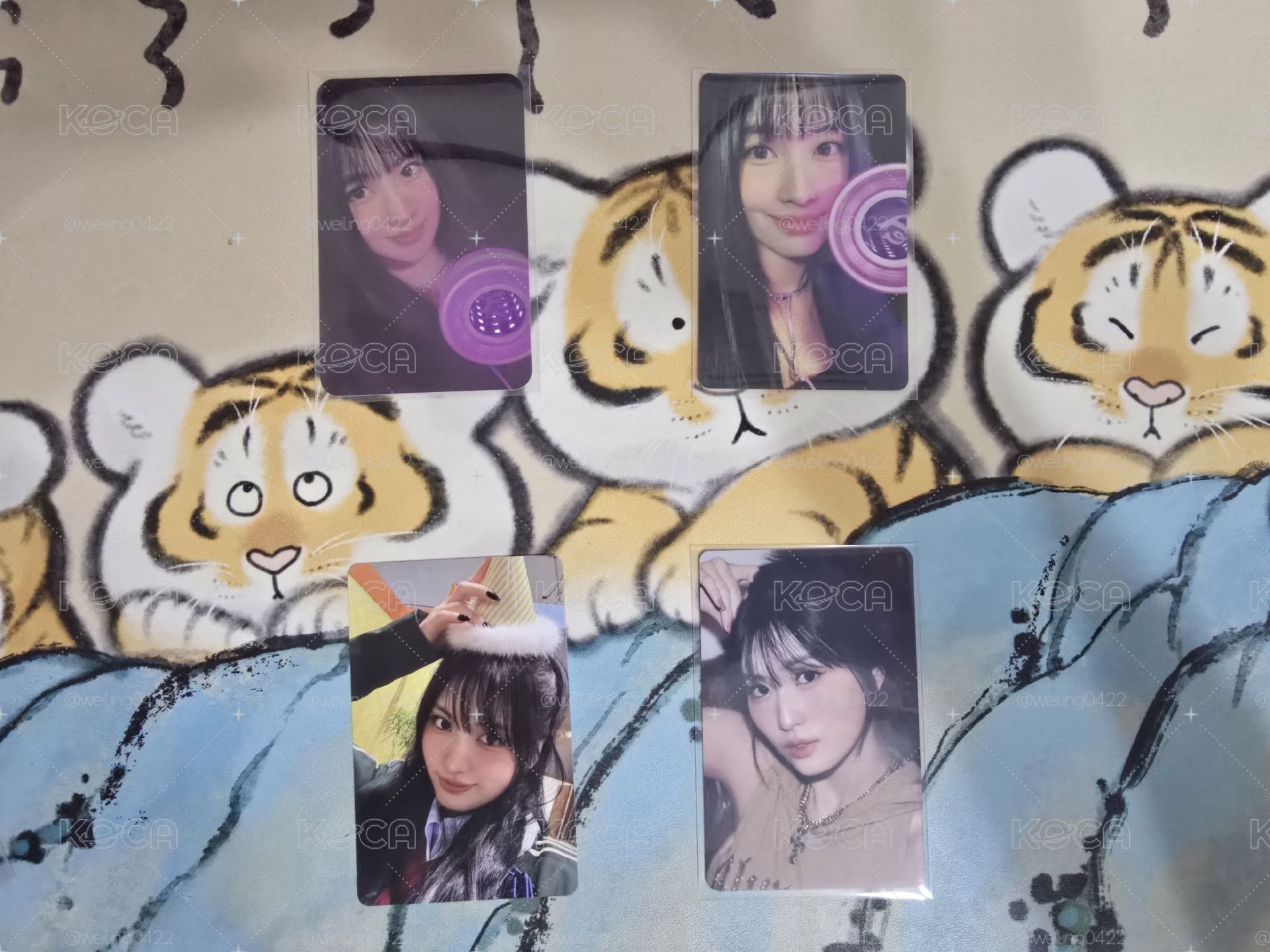 MOMO小卡