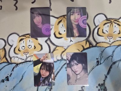 MOMO小卡