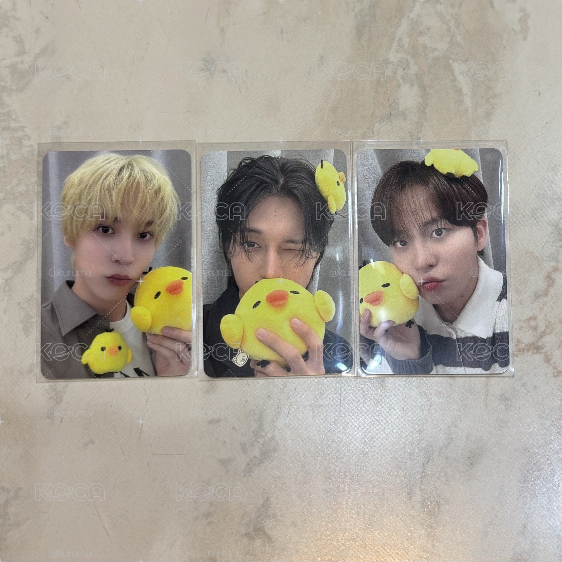 潤榮鍾 小雞卡🐣卡背超可愛😍