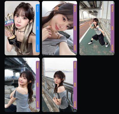 s11 s12 s18電子卡