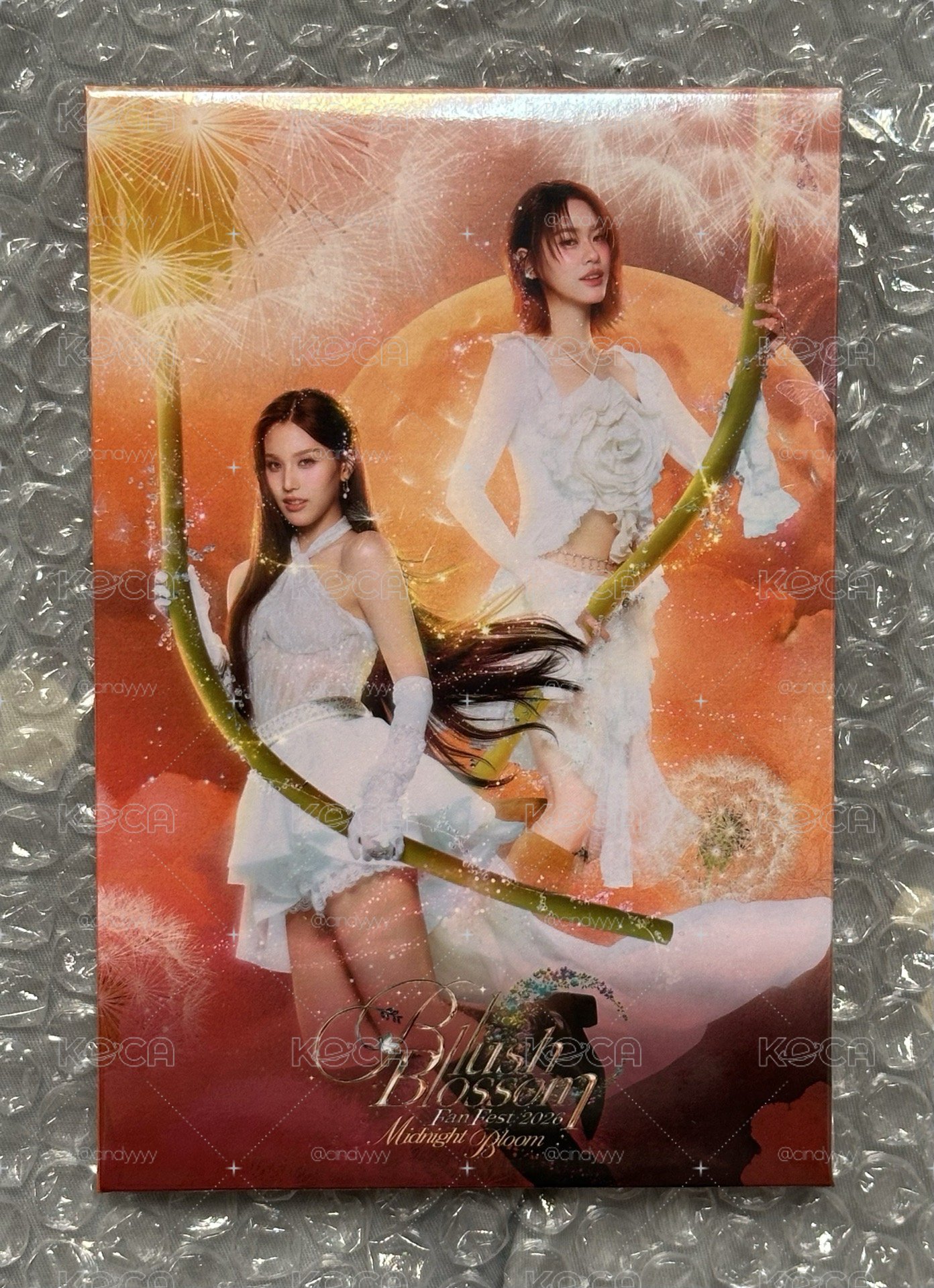 BBFF Emibonnie 相片組 全新未拆
