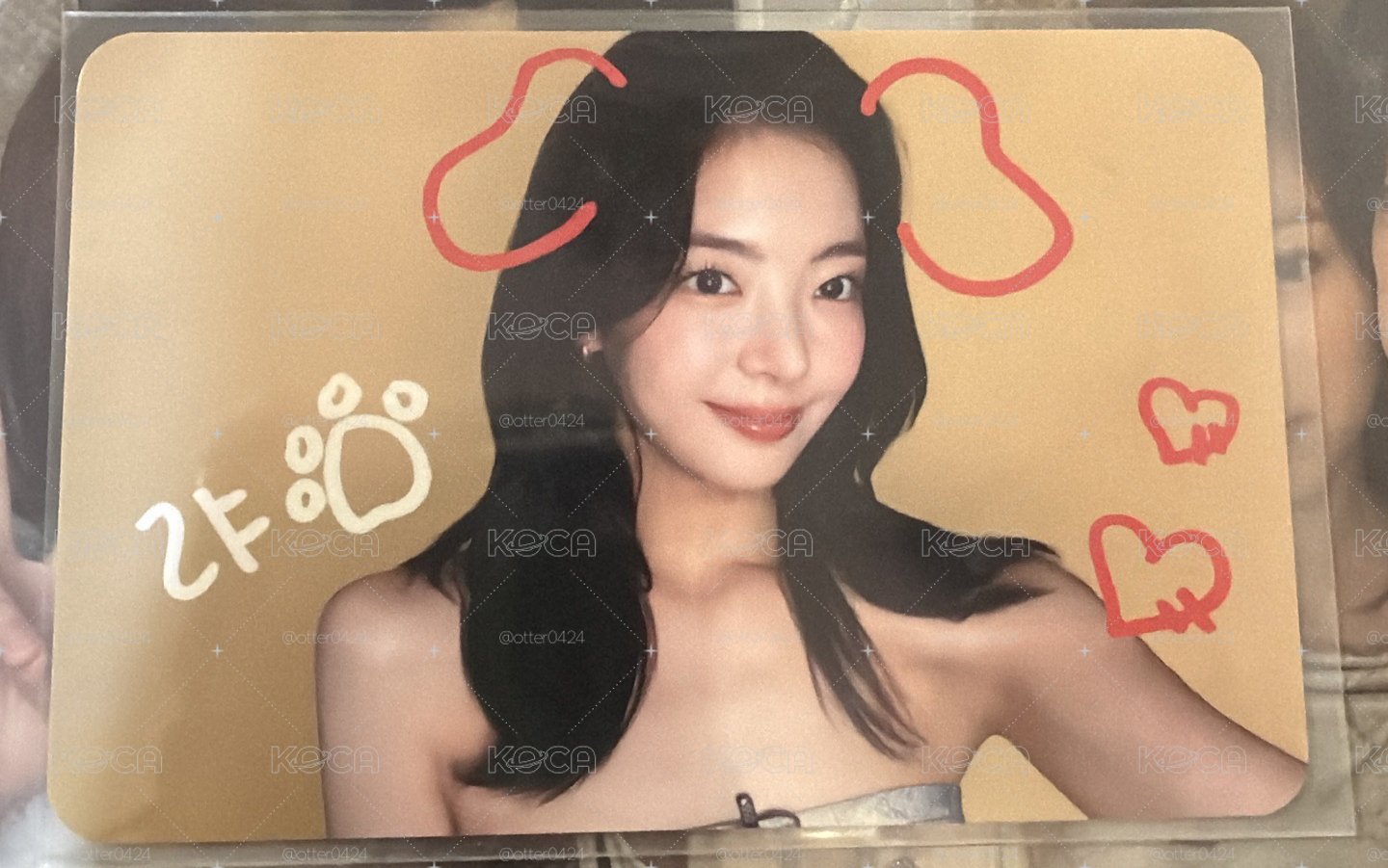 寵物鏡頭粒