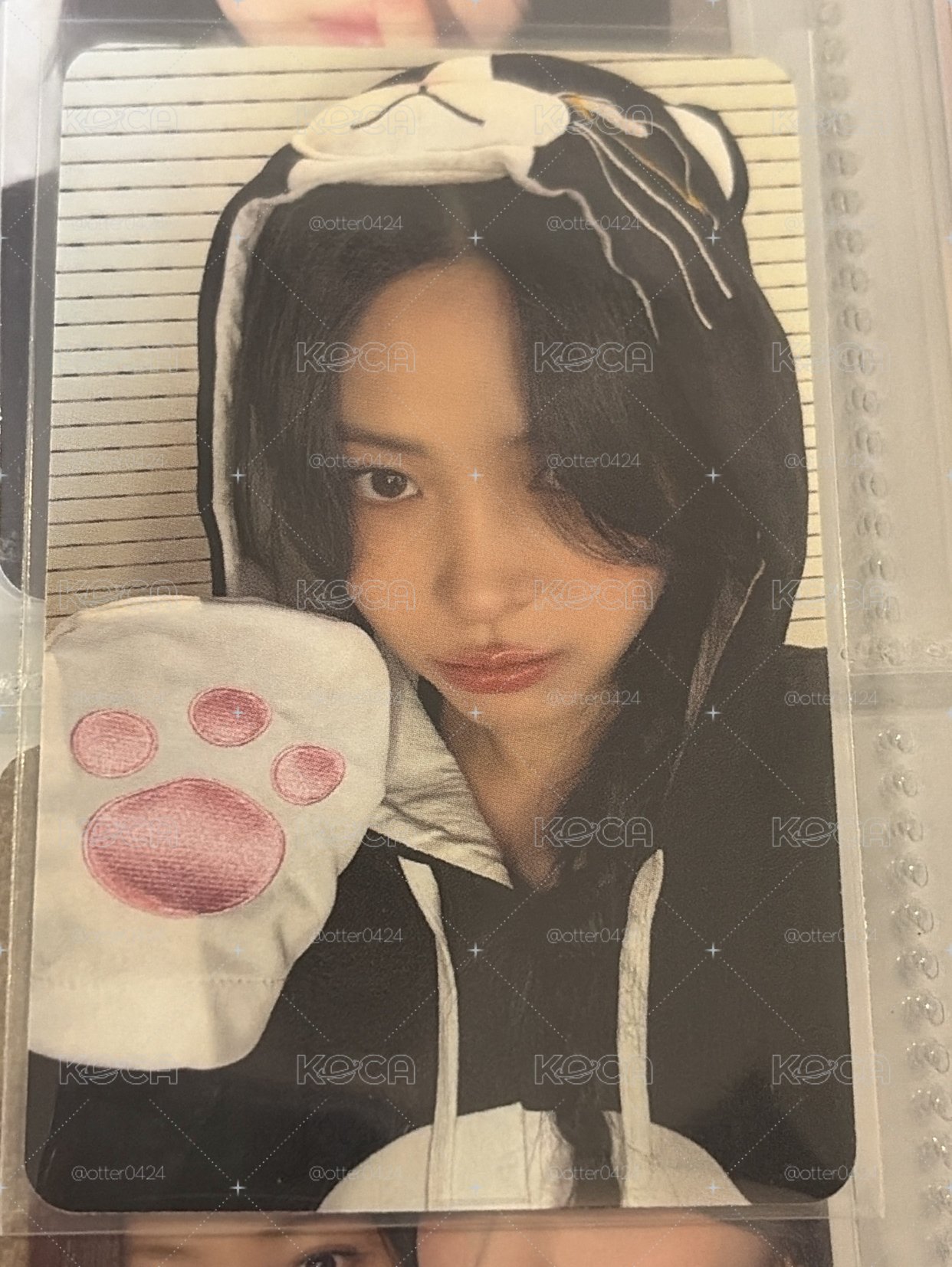 小貓粒留娜