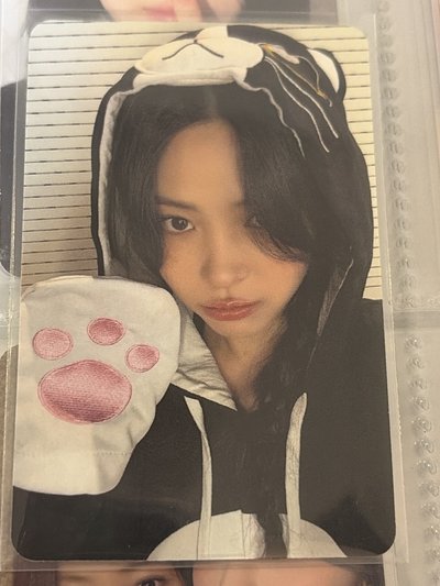 小貓粒留娜
