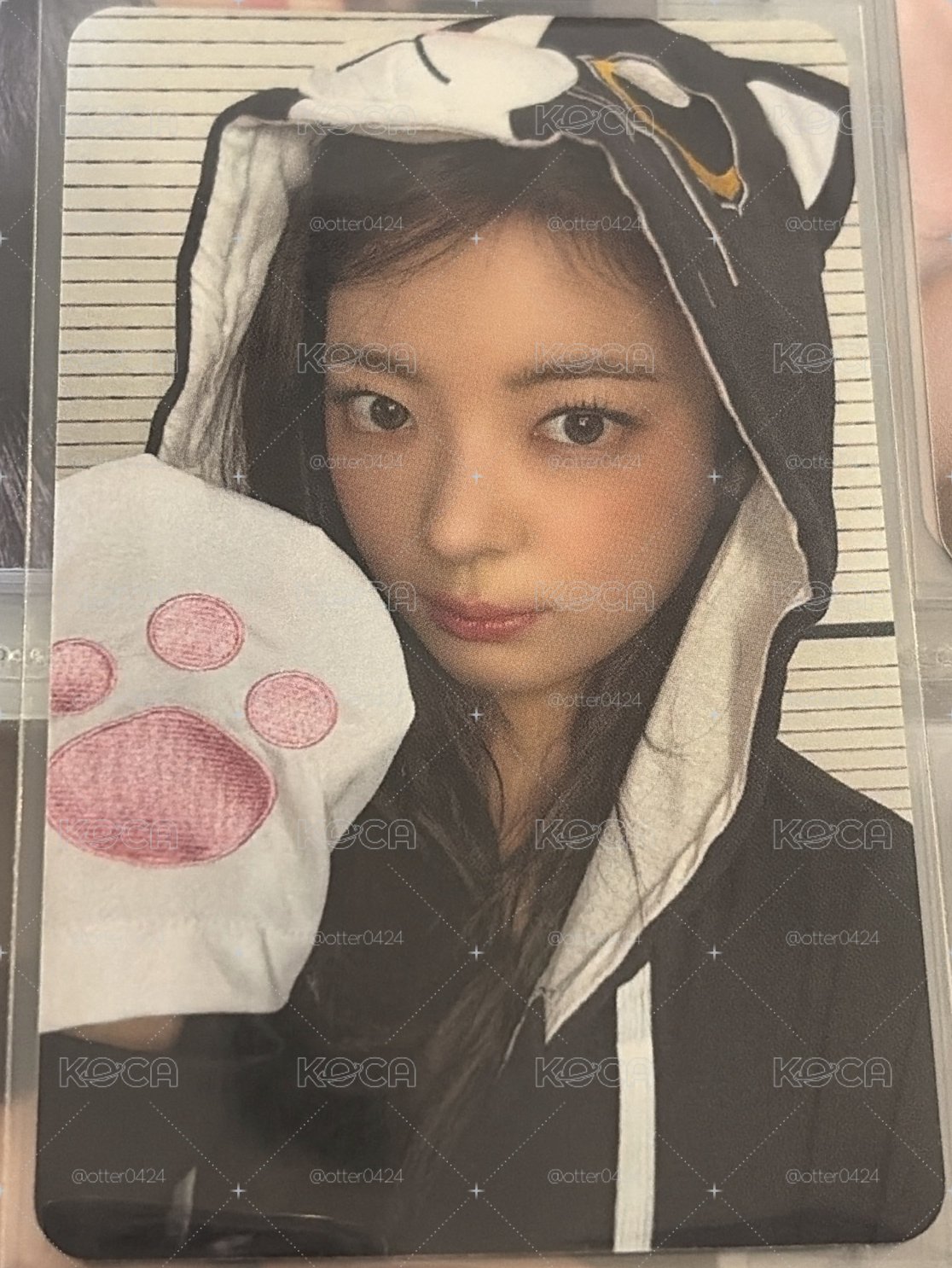 小貓粒留娜