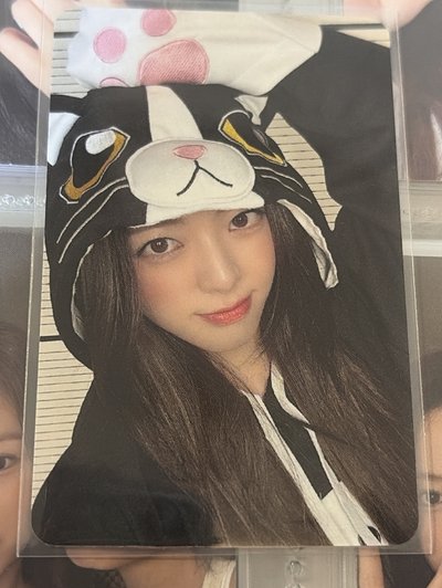 小貓粒留娜