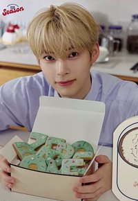 25'SG 迷你 海報 