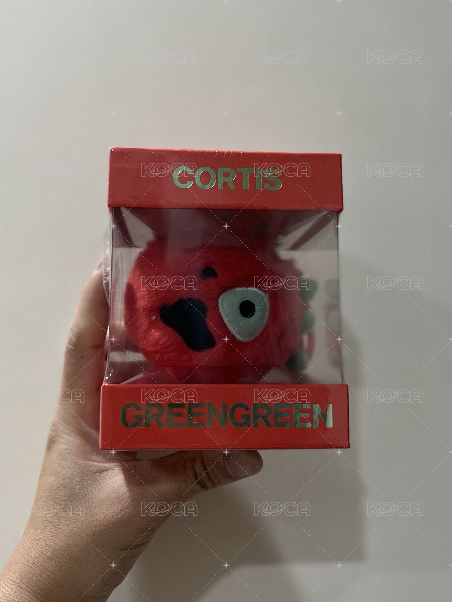 【現貨】紅球 CORTIS 迷你二輯［GREENGREEN］（Ball ver.）球專