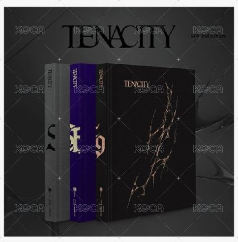  (TENACITY Ver. + LIGHTEN Ver. + INTEND Ver.)