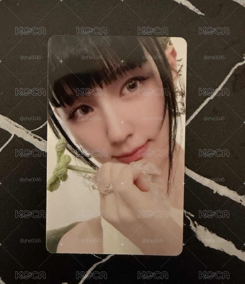 泡泡摩奇🫧 中背麵