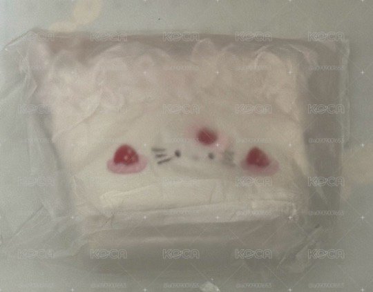 Sanrio 三麗鷗 草莓蛋糕 Kitty 化妝包 收 納包