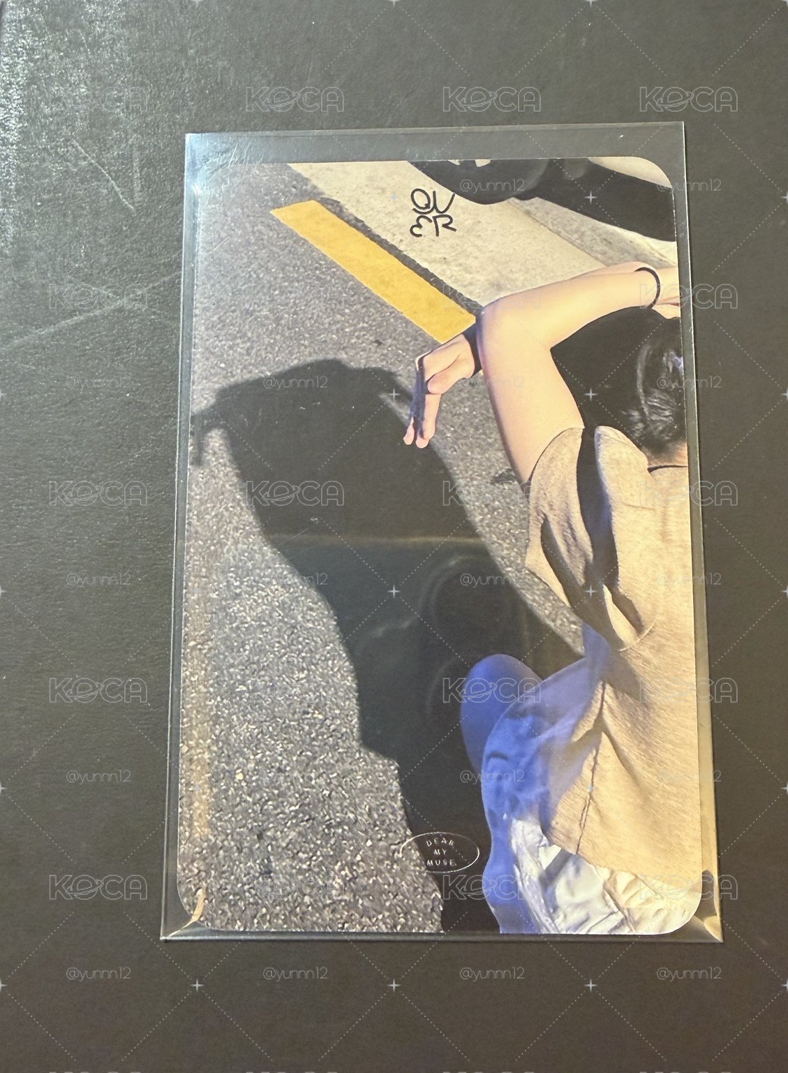 狗狗丹