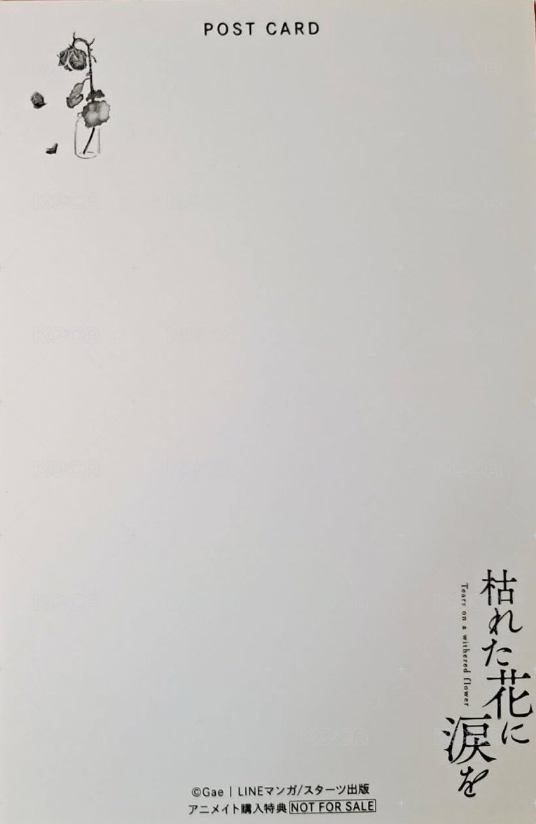 日版漫畫 animate 特典卡 第3冊 背面