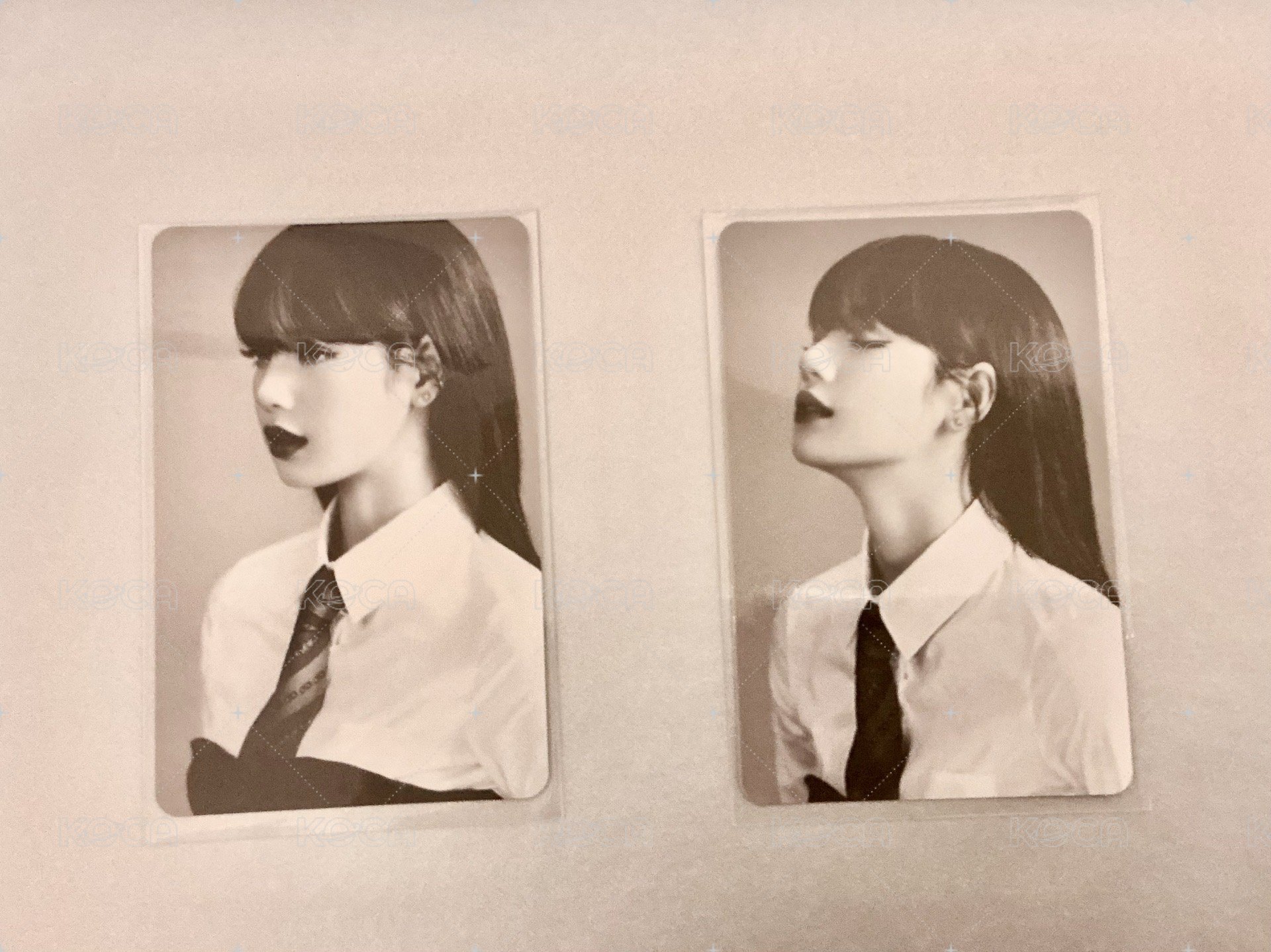 莎卡 2.