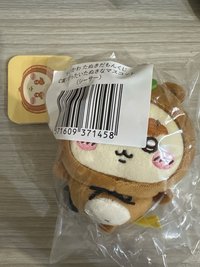 狸貓獅薩 C 賞