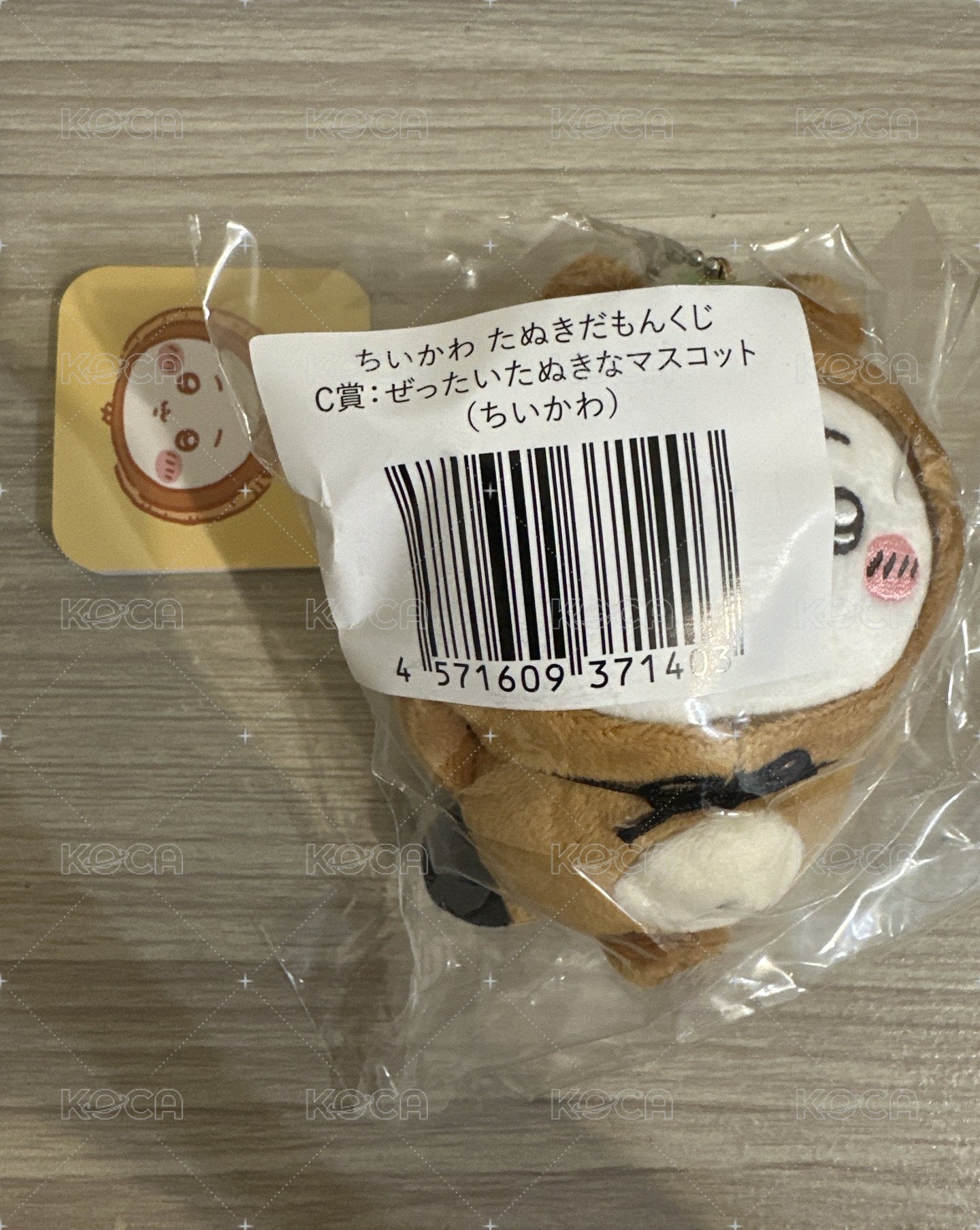 狸貓吉伊 C 賞