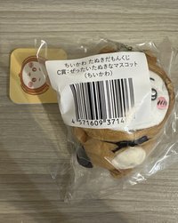 狸貓吉伊 C 賞