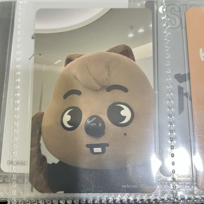SKZ 城卡 Hollow 塔店城
