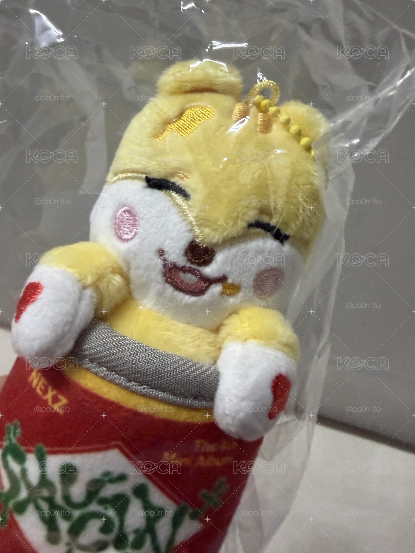 我的罐子裡有松鼠🐿️