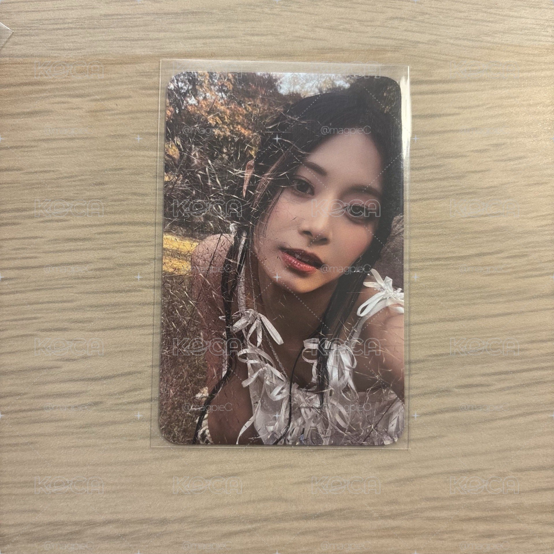 迷13 子小卡