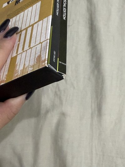 Yellow Wood 黃木空專 台壓