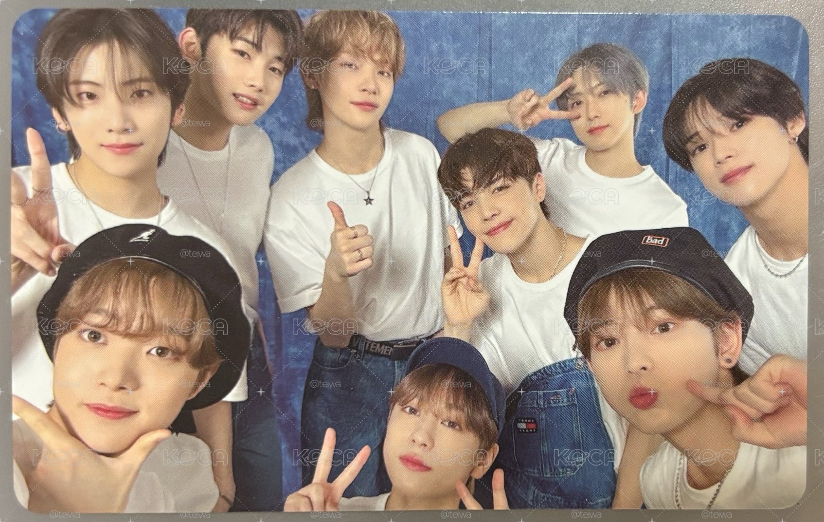 🐺家族