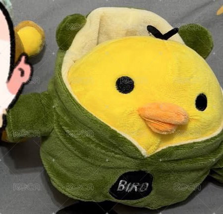 小雞