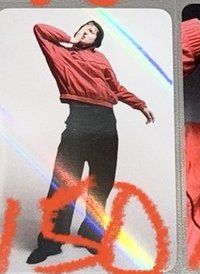ms預售馬