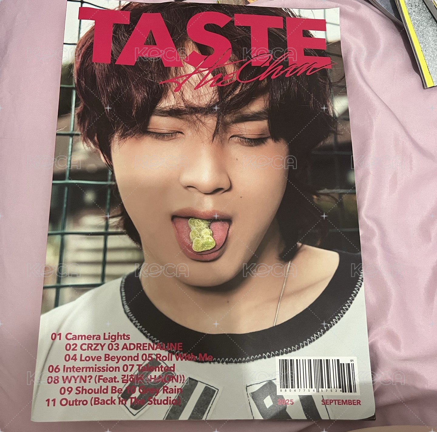楷燦TASTE PB