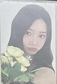 迷一拿花茶