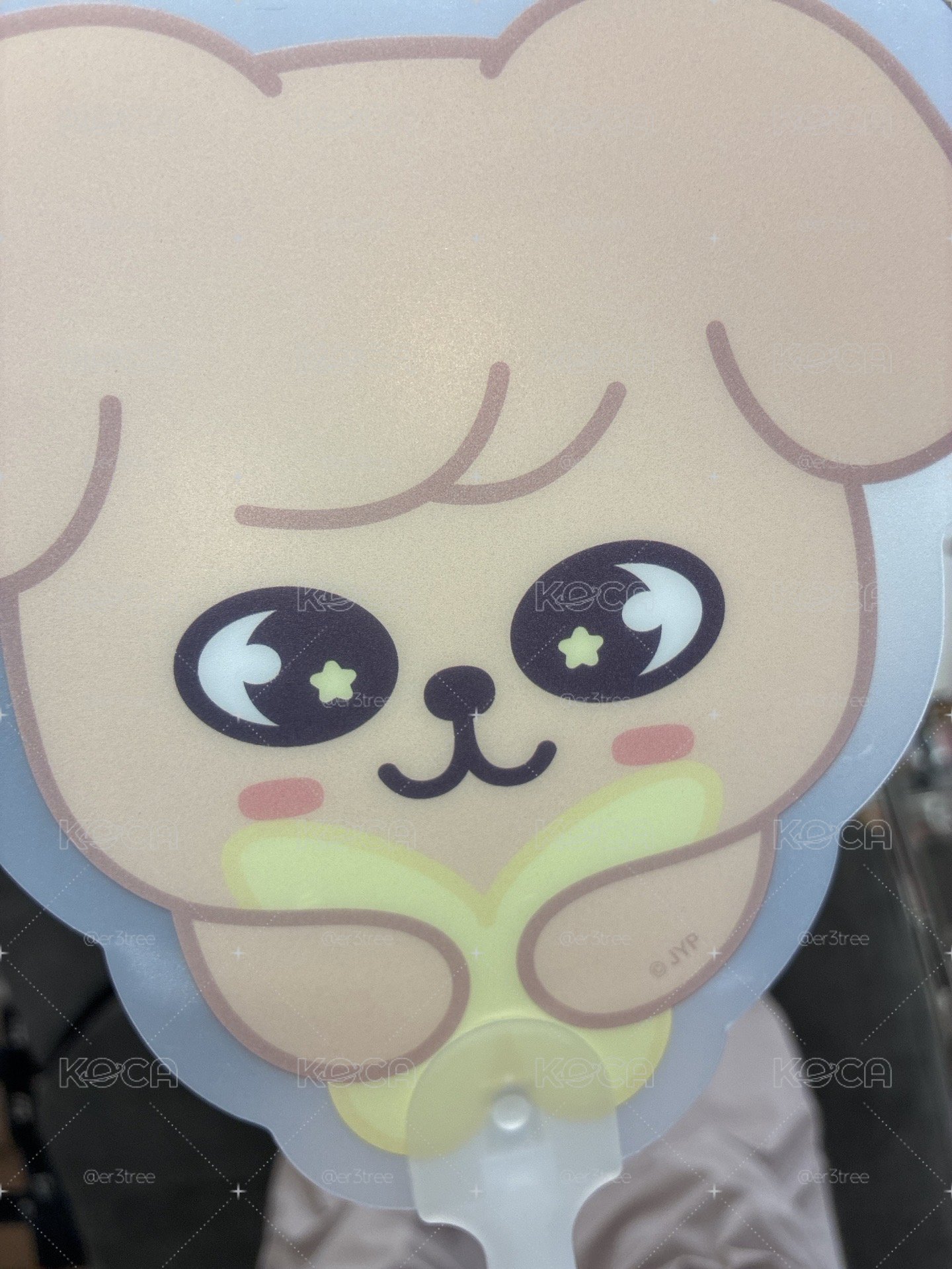 SKZ 首爾入場禮 帕皮扇 