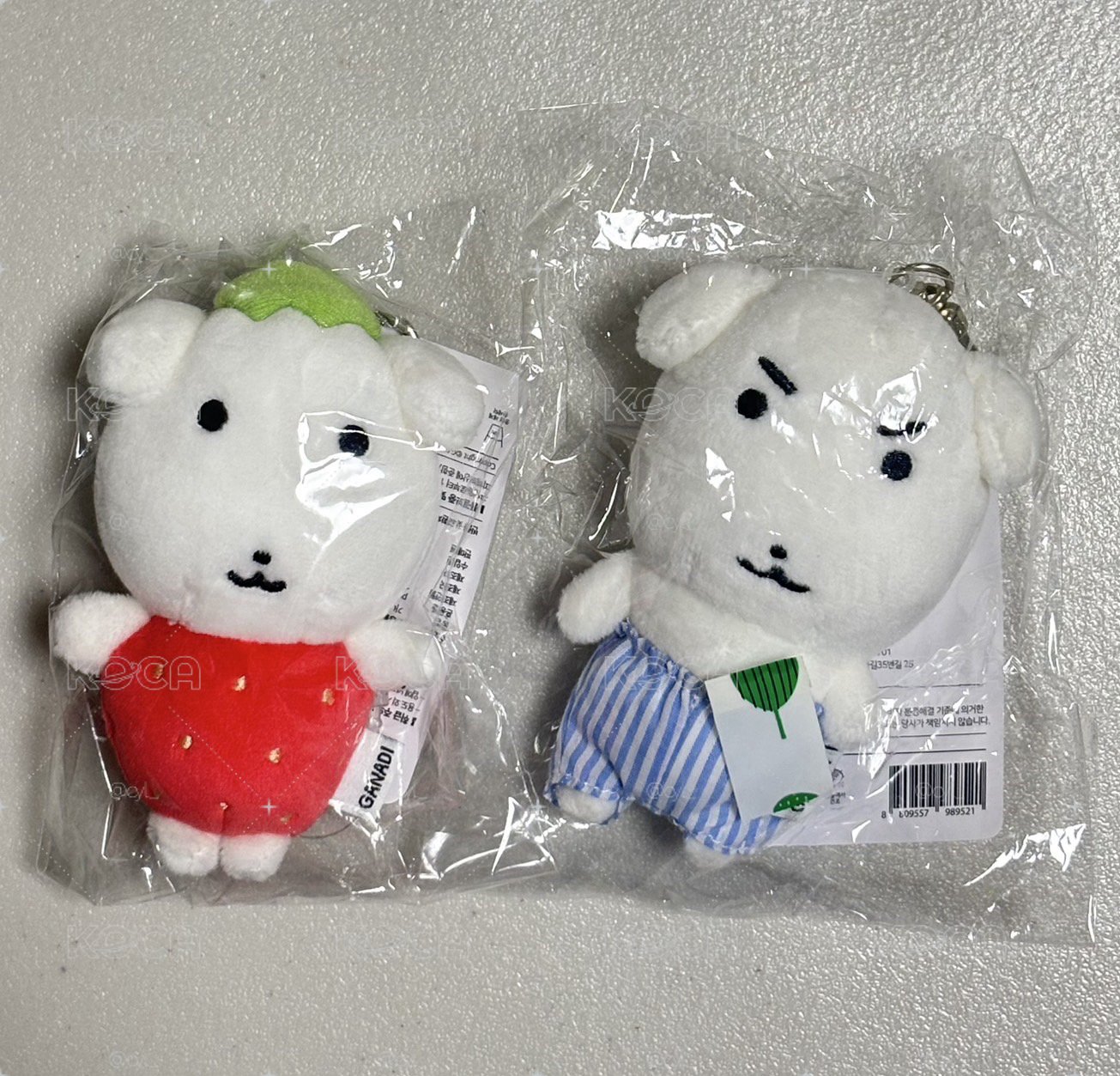 現貨狗狗們