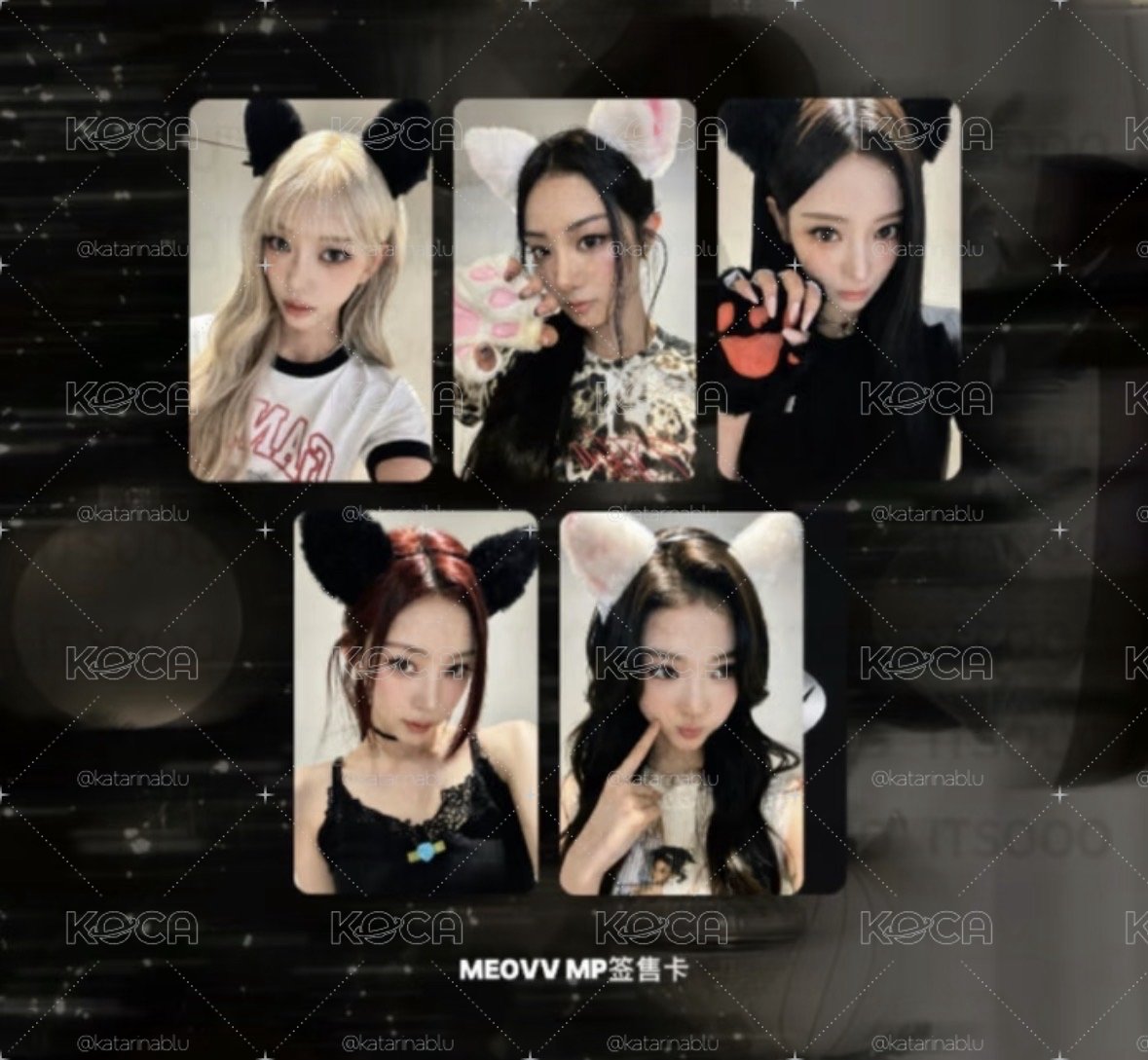 mp簽售卡超級美萌貓耳꒰ ྀི ∩⸝⸝∩ ꒱♥︎