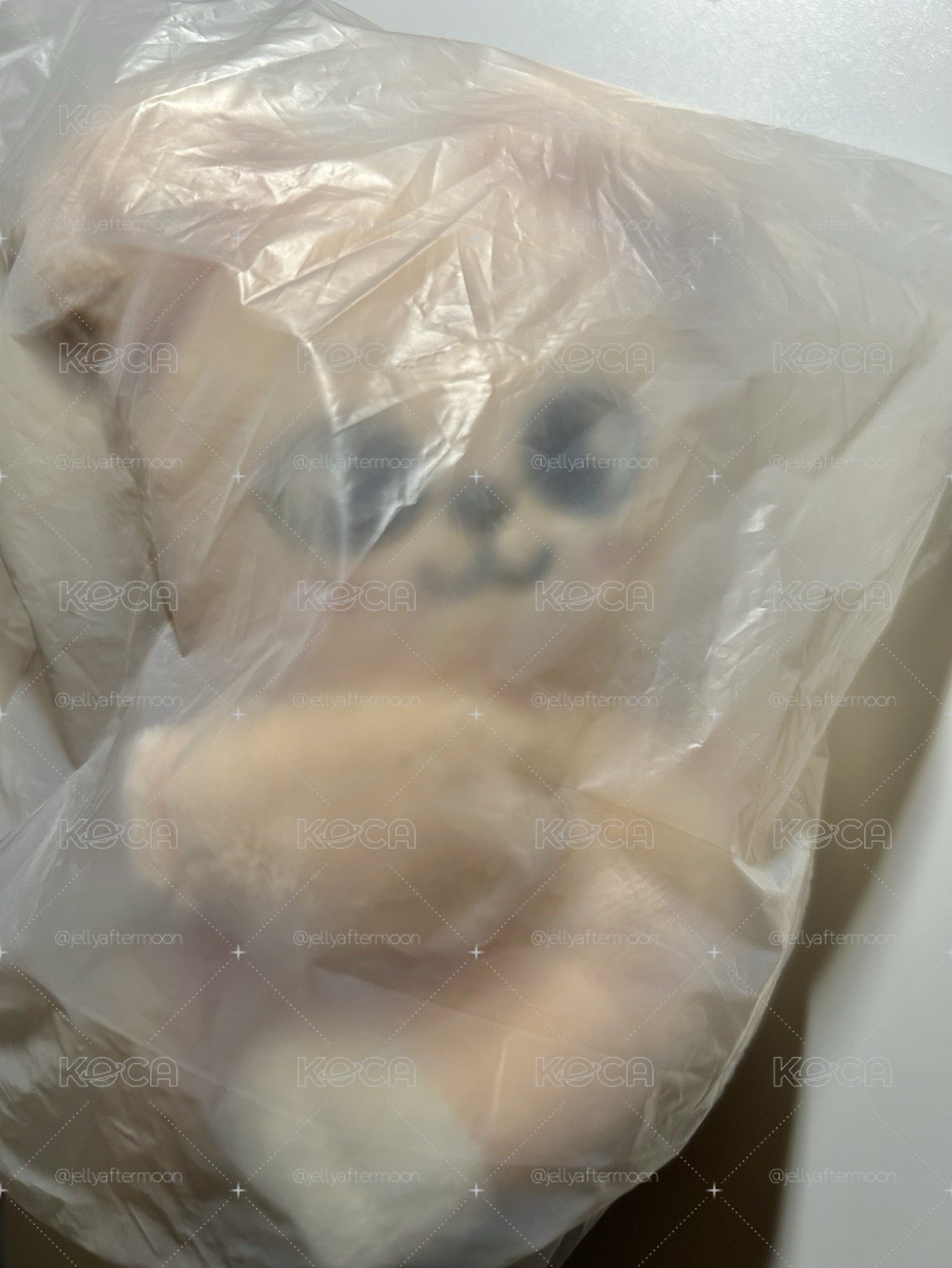 帕皮 伸縮帶抱娃